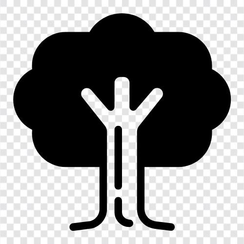 Ağaç fidanlığı, Ağaç ekimi, Ağaç bakımı, Ağaç kaldırma ikon svg