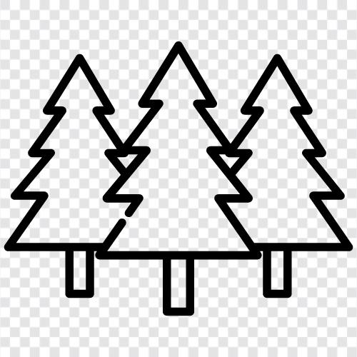 Baum symbol