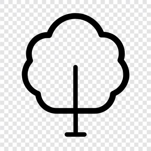 Tree Plant, Tree Fruits, Tree Leaves, Tree Structure icon svg