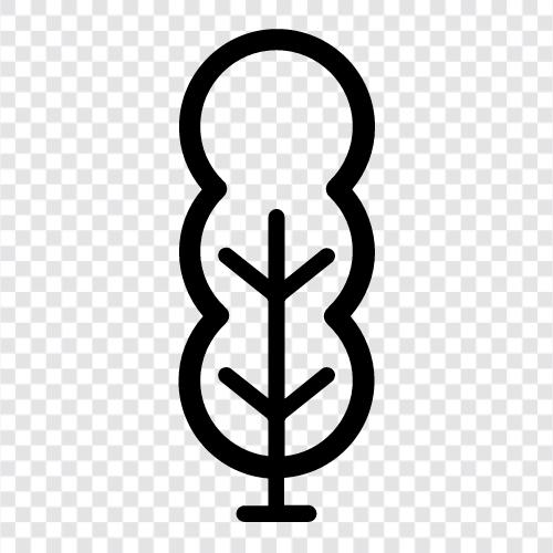 Tree Plant, Tree Seed, Tree Care, Tree Removal icon svg