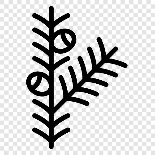 tree, needles, bark, lumber icon svg