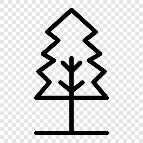 tree, pine, needles, cones icon svg