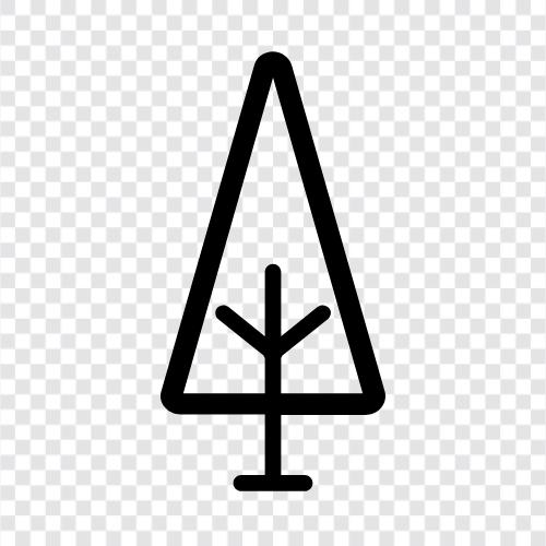 Baum symbol