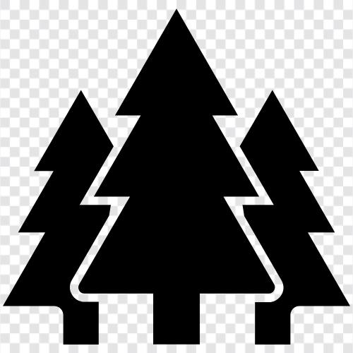 trees, leaves, forest floor, understory icon svg