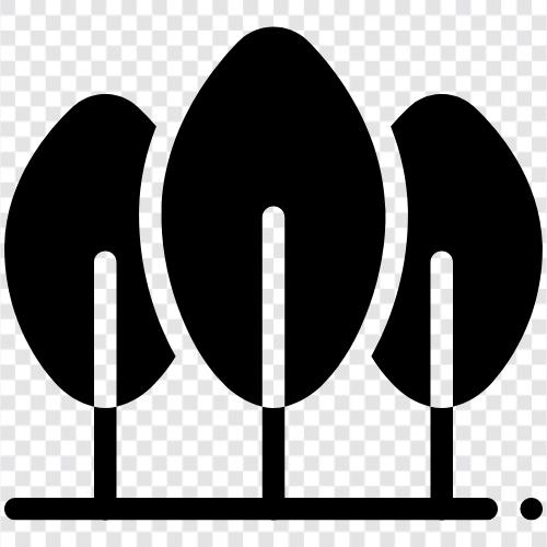 trees, green, foliage, forest floor icon svg