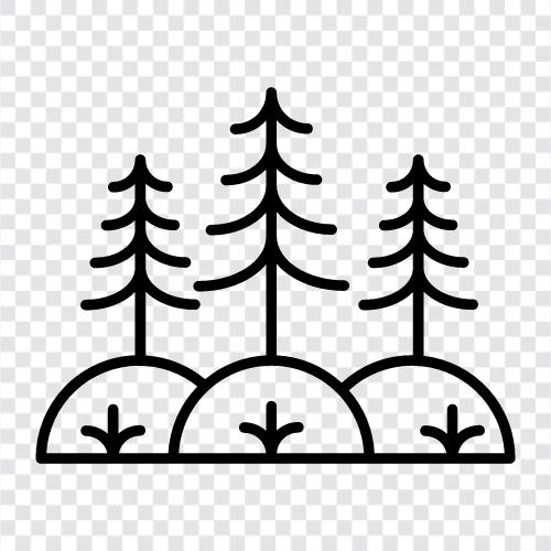 trees, leaves, forest floor, understory icon svg