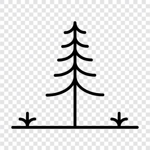 Bäume, grün, Natur, Baum symbol