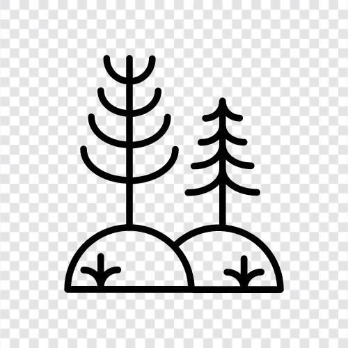 ağaçlar, doğa, ormancılık, orman ürünleri ikon svg