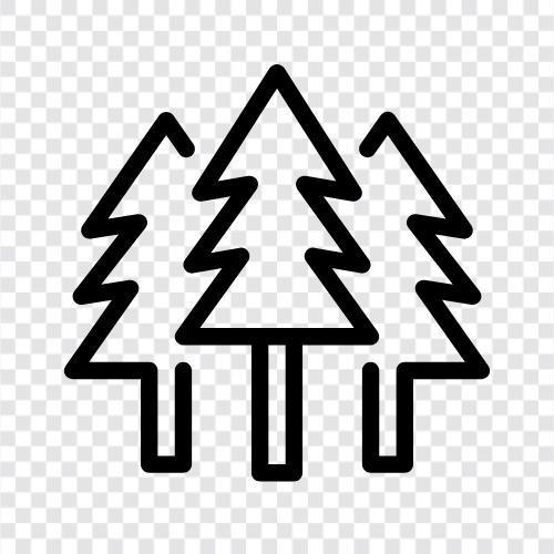Bäume, Blätter, Rinde, Wurzeln symbol