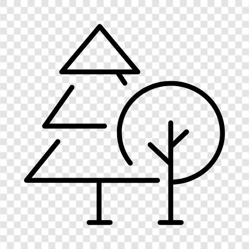 ağaçlar, yapraklar, kanopi, orman zemini ikon svg