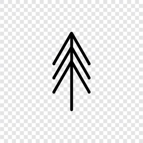 trees, wood, lumber, forest icon svg