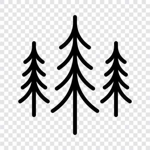ağaçlar, ahşap, kehribar, orman korucusu ikon svg