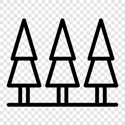 trees icon svg