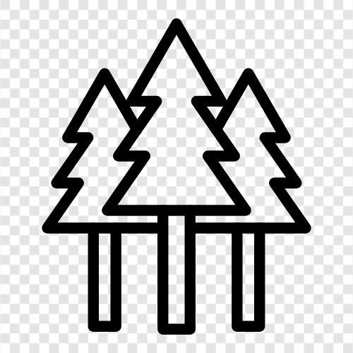 Bäume, Blätter, Rinde, Boden symbol