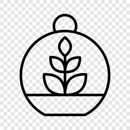 tropisch, Garten, Pflanzen, Frösche symbol