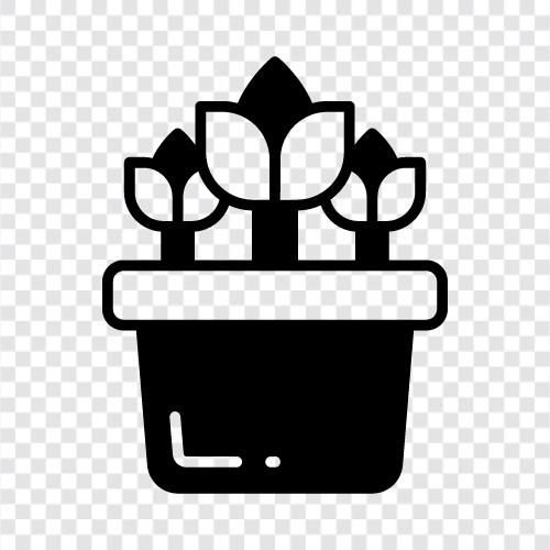 tulip, flower, colors, petals icon svg