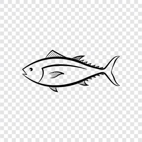 tuna icon svg