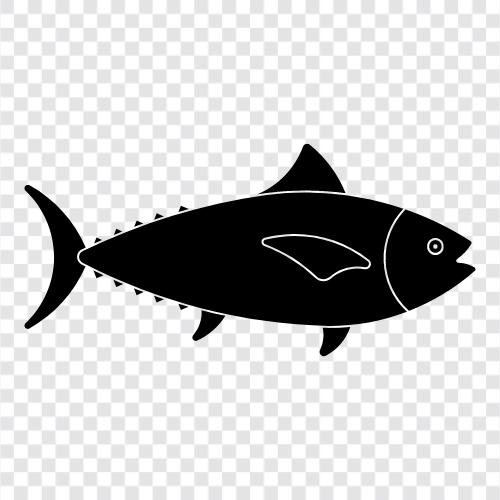 Tuna, Bluefin, Sashimi, sushi icon svg