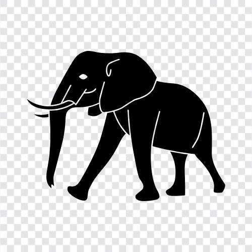 tusk, ivory, trunk, animal icon svg