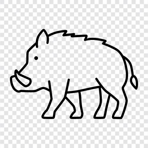 tusks, hog, wild, animal icon svg