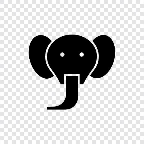 tusks, trunk, ivory, African icon svg