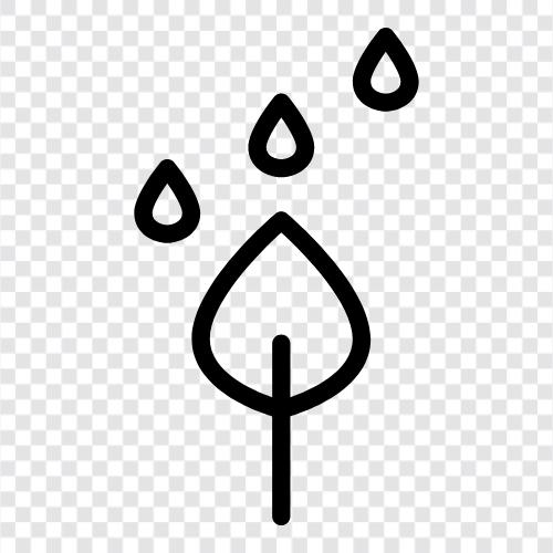 Regenschirme, Donner, Regenbogen, Aufhellung symbol