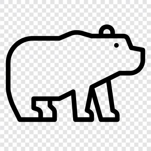 Ursus maritimus, arktisch, Bär, Tier symbol