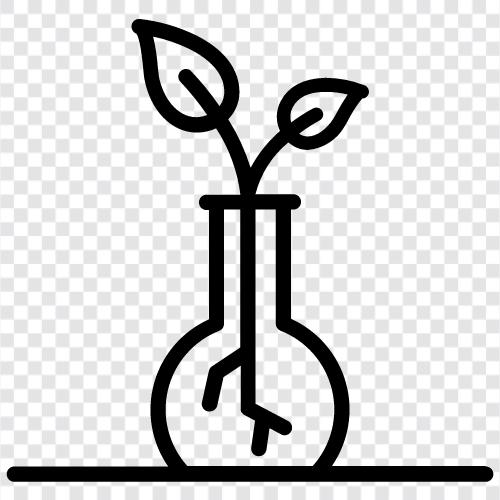 Gemüse, Obst, Blume, Blätter symbol