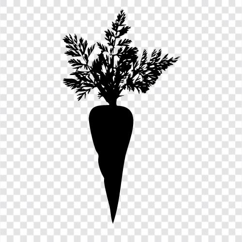 vegetable, health, diet, vitamin A icon svg