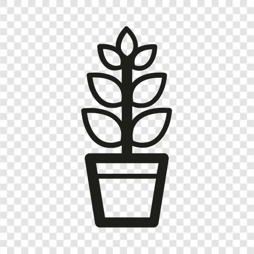 Vegetable, Fruits, Vegetable Gardening, Flowers icon svg