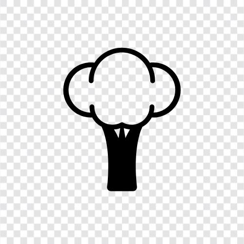 Vegetables, Nutrition, Health Benefits, Broccoli icon svg