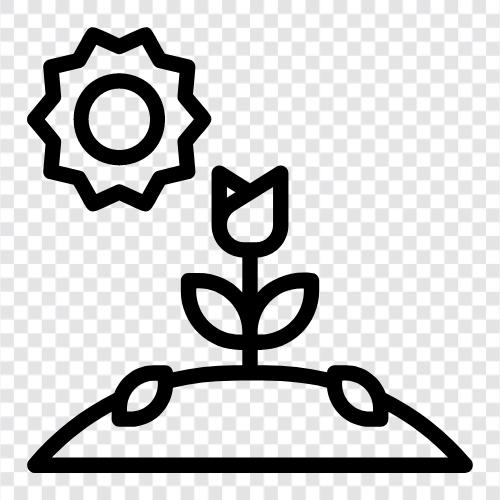 vegetables, fruits, herbs, flowers icon svg