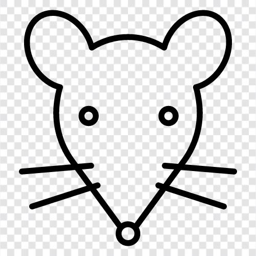 vermin, rodent, pet, domesticated icon svg