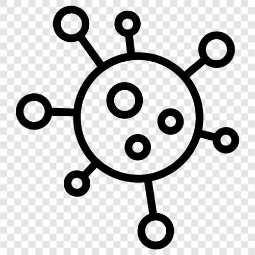 Virusinfektionen, Virussymptome, Viruskur, Virusprävention symbol