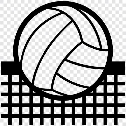 volleyball netting, volleyball netting suppliers, volleyball net reviews, volleyball net icon svg