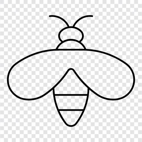 wasp nest, wasp sting, wasp identification, wasp icon svg