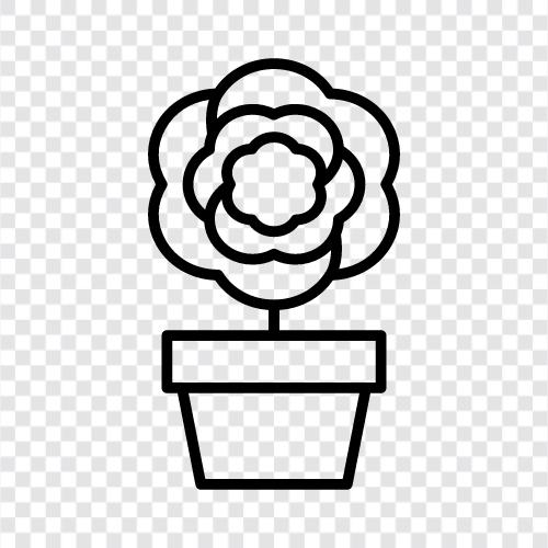 water, flower, pot, garden garden icon svg