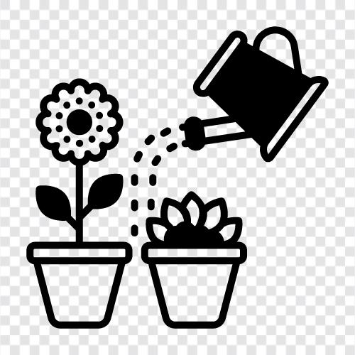 watering can, watering plants, watering schedule, watering plants indoors icon svg