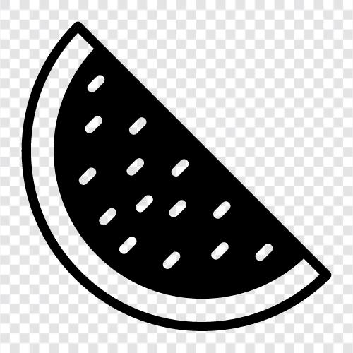 watermelon, cantaloupe, honeydew, muskmel icon svg