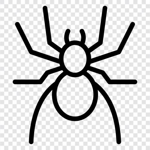 webslinger, arachnid, eightlegged creature, Spider icon svg