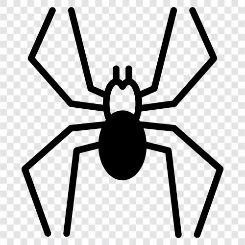 webspinning, spider, spider s web, spider s silken icon svg