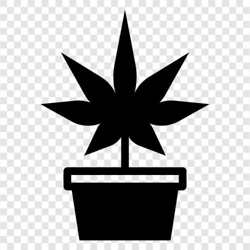 weed, cannabis, marijuana, 420 icon svg