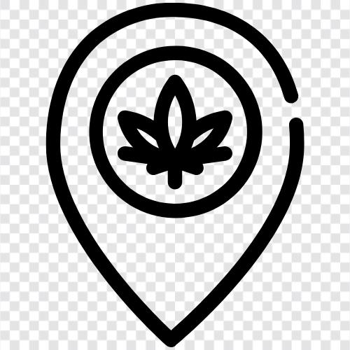 Unkrautspender, Unkrautläden, Unkrautstämme, Cannabisgeschäfte symbol