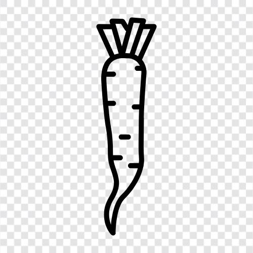 white turnip, white beet, white carrot, white cabbage icon svg