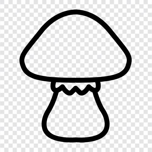 дикие съедобные грибы, идентифицирующие грибы, грибы для приготовления, грибы для съедобных грибов Значок svg