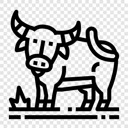 wild, herd, animal, American icon svg