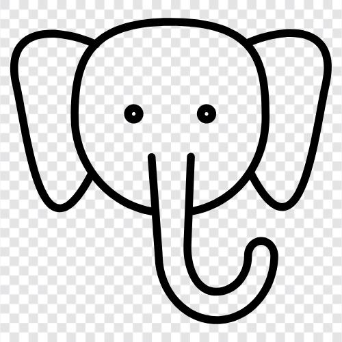 Wildlife, Mammal, Animal, Elephant icon svg