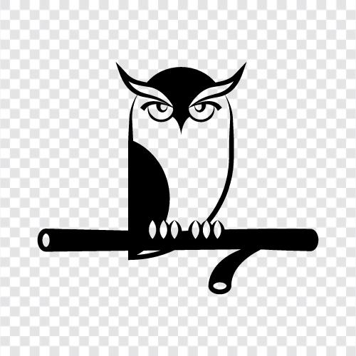 wildlife, animal, feathered, big icon svg