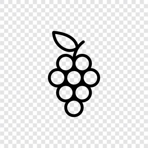 Wein, Saft, Obst, Desserttraube symbol