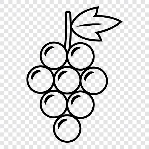 Wein, Obst, rot, weiß symbol